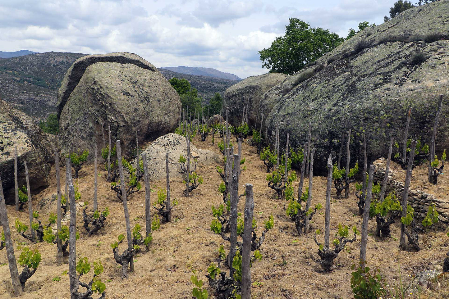 Le Grand Gañán 2021